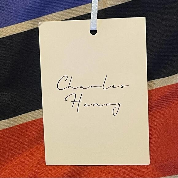 Chandler‎ Henry Asymmetrical Striped Maxi Dress Small NWT - Picture 4 of 6